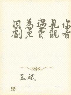 因为遇见你电视剧免费观看完整版