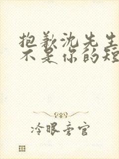 抱歉沈先生孩子不是你的短剧在线免费观看