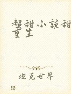 超甜小说甜宠文重生