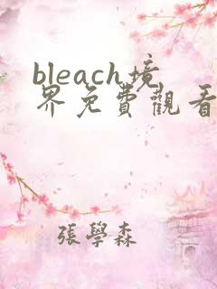 bleach境界免费观看全集