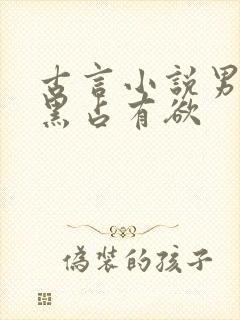 古言小说男主腹黑占有欲