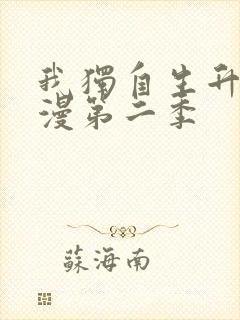 我独自生升级动漫第二季