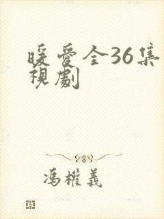 暖爱全36集电视剧