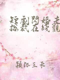 短剧闪婚老公是总裁在线观看