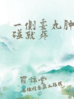 一侧睾丸肿大一碰就疼