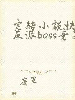 完结小说快穿:反派boss竟是我自己