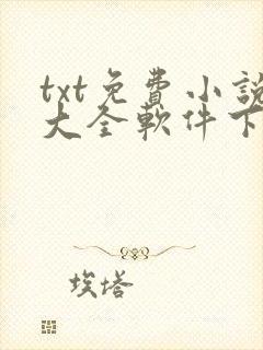 txt免费小说大全软件下载