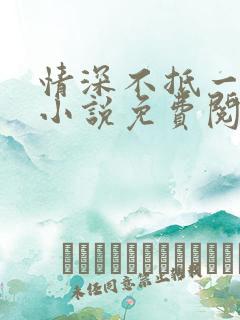 情深不抵一场错小说免费阅读全文