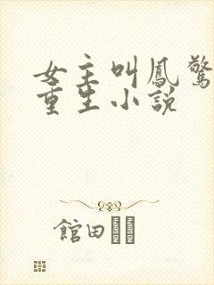 女主叫凤惊华的重生小说