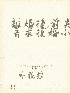 离婚后,前夫哭着求复婚小说正版