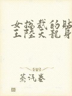 女总裁的贴身兵王陆天龙身世