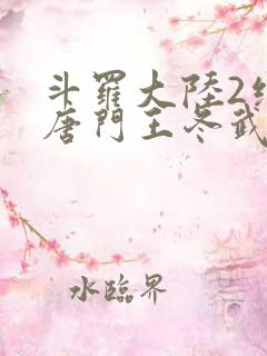 斗罗大陆2绝世唐门王冬武魂