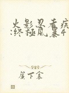 火影忍者疾风传:终极风暴4