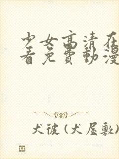 少女高清在线观看免费动漫