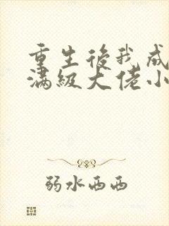 重生后我成为了满级大佬小说