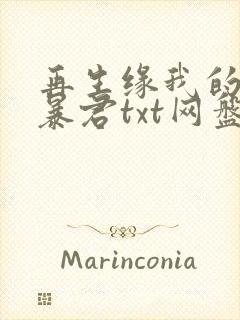 再生缘我的温柔暴君txt网盘