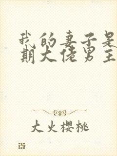 我的妻子是大乘期大佬男主几个老婆