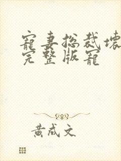 宠妻总裁坏透了完整版宠