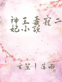 神王毒宠二嫁王妃小说