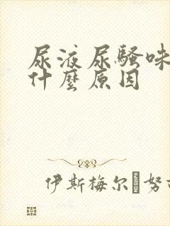 尿液尿骚味大是什么原因