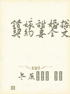 错嫁甜婚总裁的契约妻全文