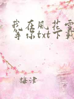 我在风花雪月里等你txt下载全本
