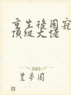 重生后团宠成了顶级大佬