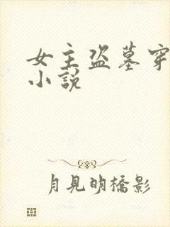 女主盗墓穿越的小说