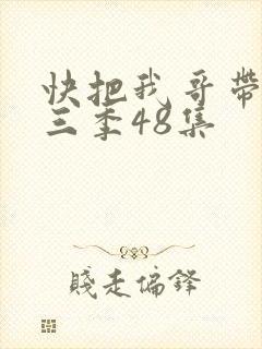 快把我哥带走第三季48集