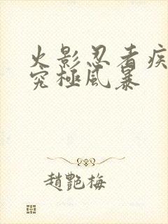 火影忍者疾风传究极风暴