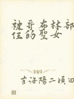 被哥布林部落抓住的圣女