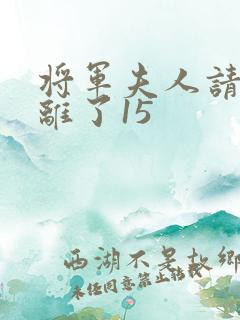 将军夫人请旨和离了15