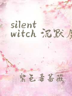 silent witch 沉默魔女的秘密小说