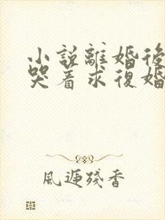 小说离婚后前夫哭着求复婚在线观看