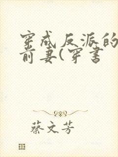 穿成反派的炮灰前妻(穿书