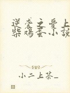 逆袭之爱上情敌柴鸡蛋小说完全版