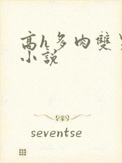 高h多肉双男主小说