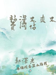 动漫又爽又黄免费网站