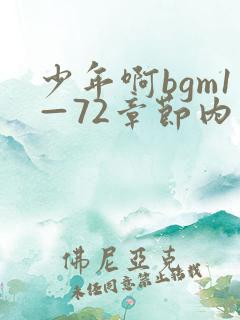 少年啊bgm1—72章节内容