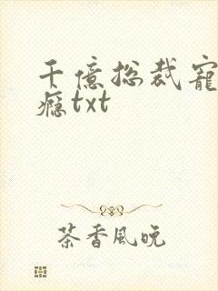 千亿总裁宠妻成瘾txt