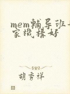 mem辅导班哪家机构好