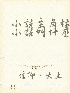 小说主角林云的小说叫什么