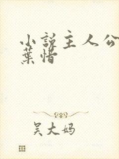 小说主人公林凡叶惜