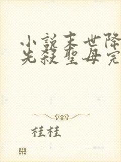 小说末世降临,先杀圣母完整版