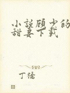 小说顾少的替嫁甜妻下载