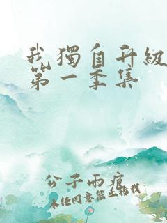 我独自升级动漫第一季集