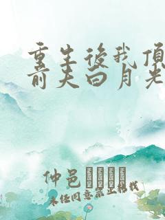 重生后我顶替了前夫白月光有声