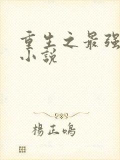 重生之最强系统小说