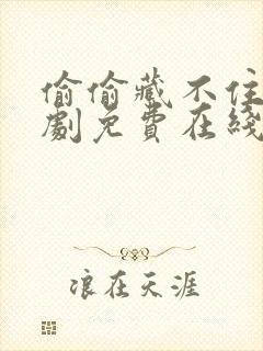 偷偷藏不住漫画剧免费在线观看40话