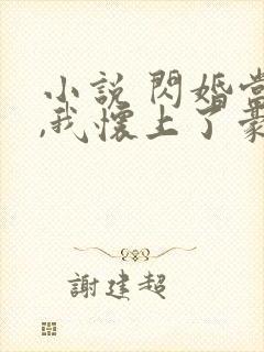 小说 闪婚当天,我怀上了豪门继承人